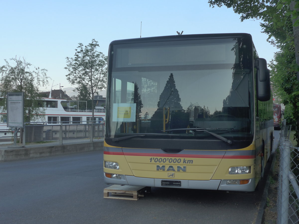 (216'796) - STI Thun - Nr. 132 - MAN am 9. Mai 2020 bei der Schiffl�ndte Thun