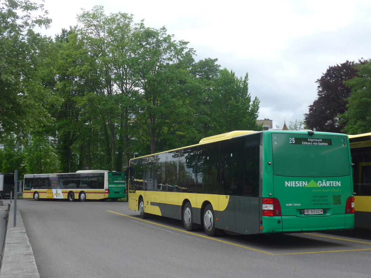 (217'023) - STI Thun - Nr. 602/BE 865'602 - MAN am 11. Mai 2020 bei der Schiffl�ndte Thun