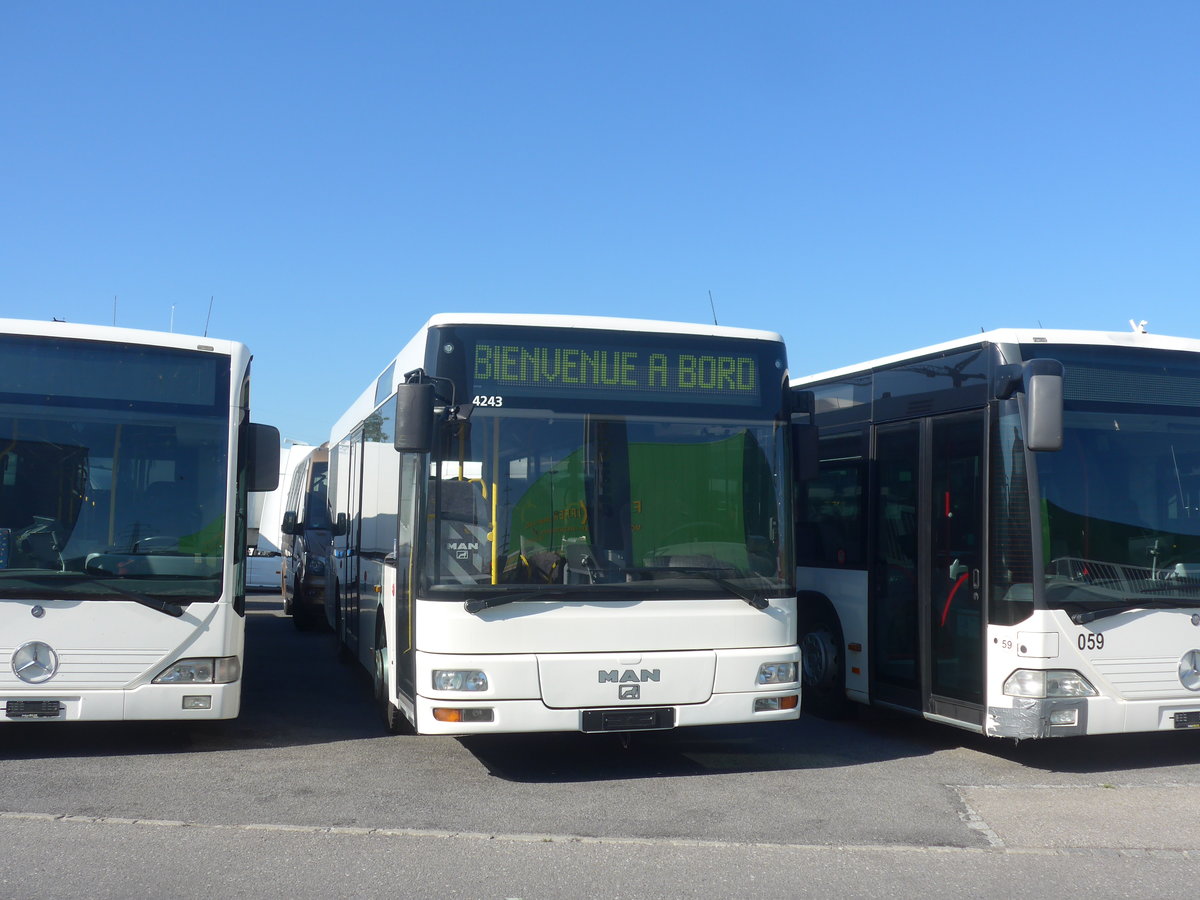 (217'476) - Interbus, Kerzers - MAN/G�ppel (ex ARCC Aubonne; ex Rossier, Lussy) am 31. Mai 2020 in Kerzers, Interbus