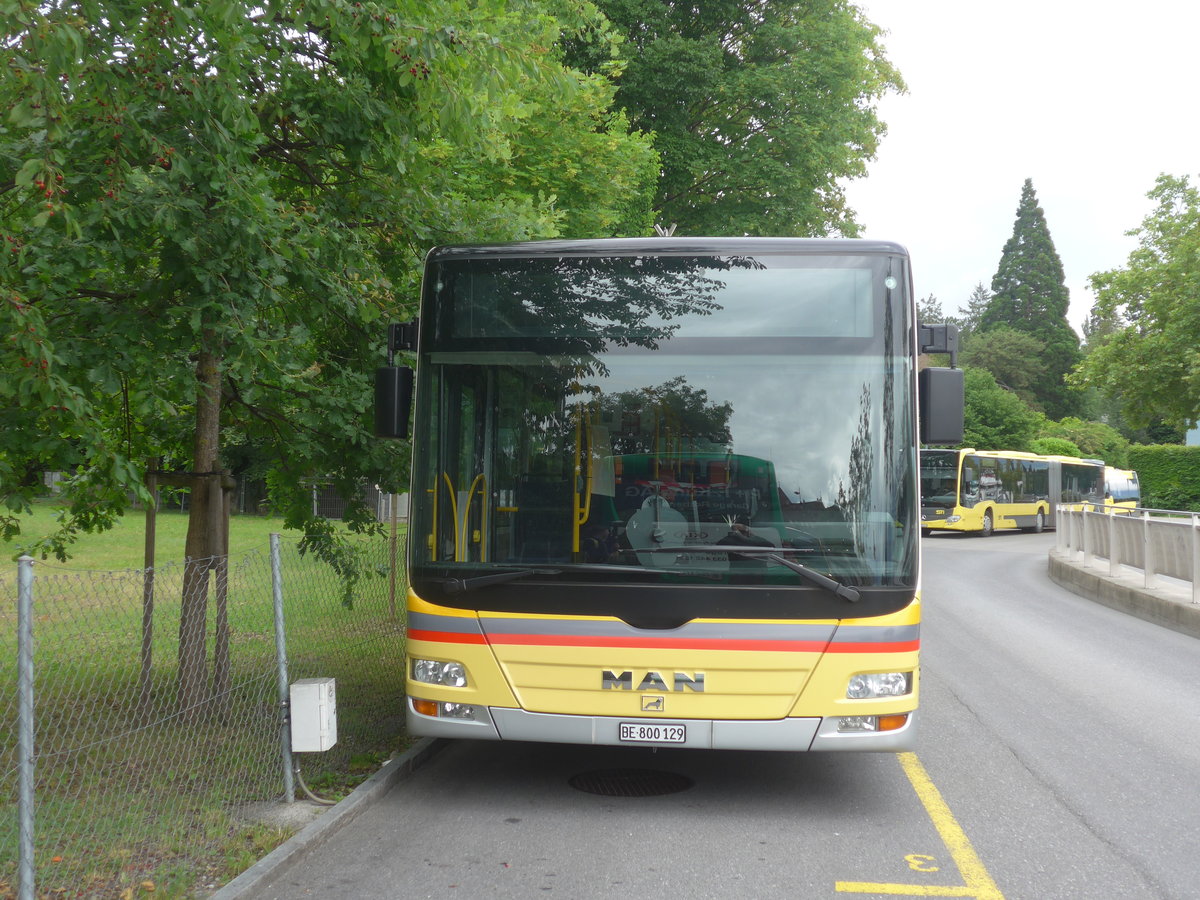 (218'037) - STI Thun - Nr. 129/BE 800'129 - MAN am 15. Juni 2020 bei der Schiffl�ndte Thun