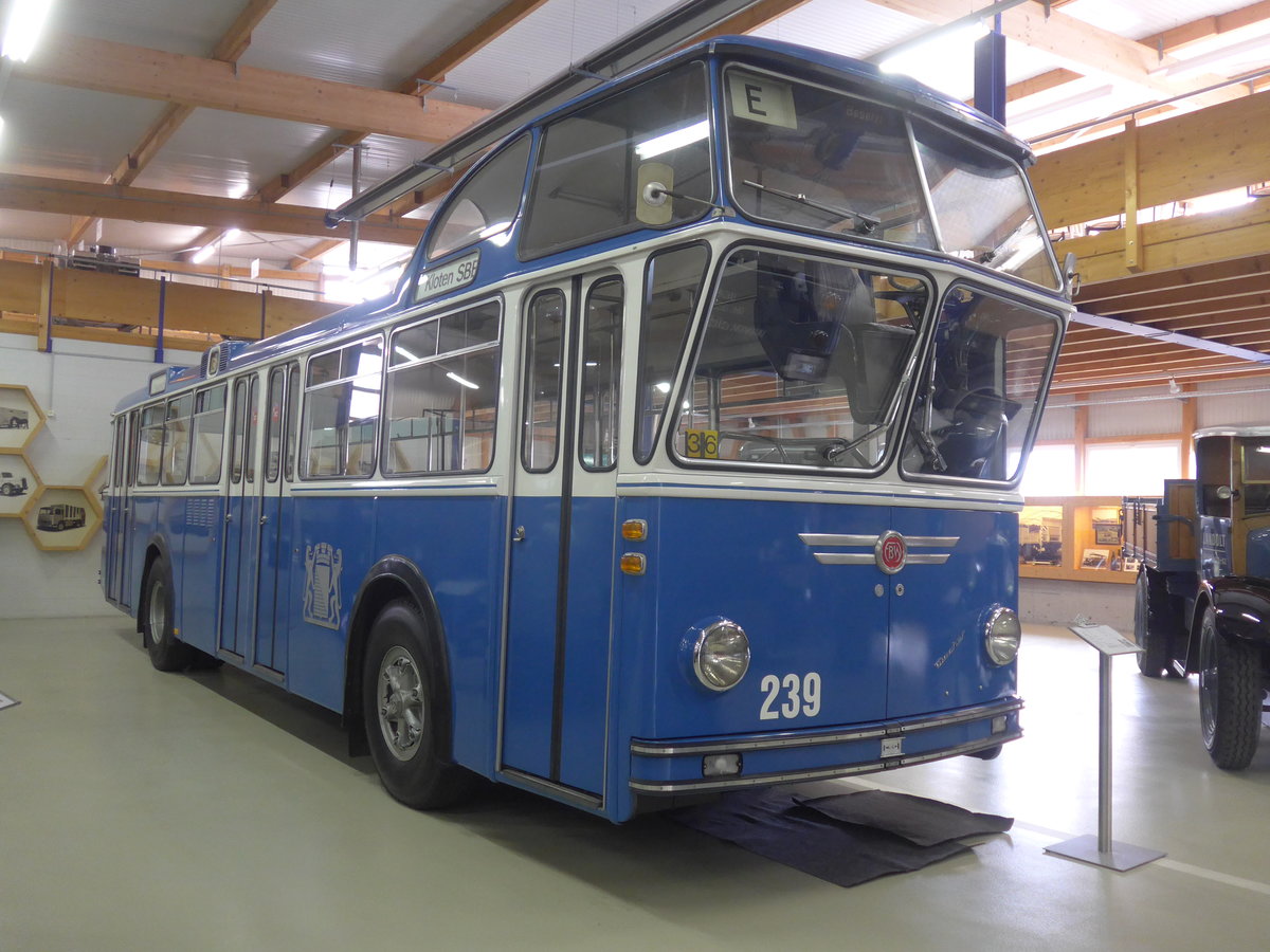 (221'986) - VBZ Z�rich (FBW-Club) - Nr. 239 - FBW/T�scher Hochlenker (ex Kamm, Schlieren; ex VBZ Z�rich Nr. 239; ex VBZ Z�rich Nr. 219) am 18. Oktober 2020 in Wetzikon, FBW-Museum