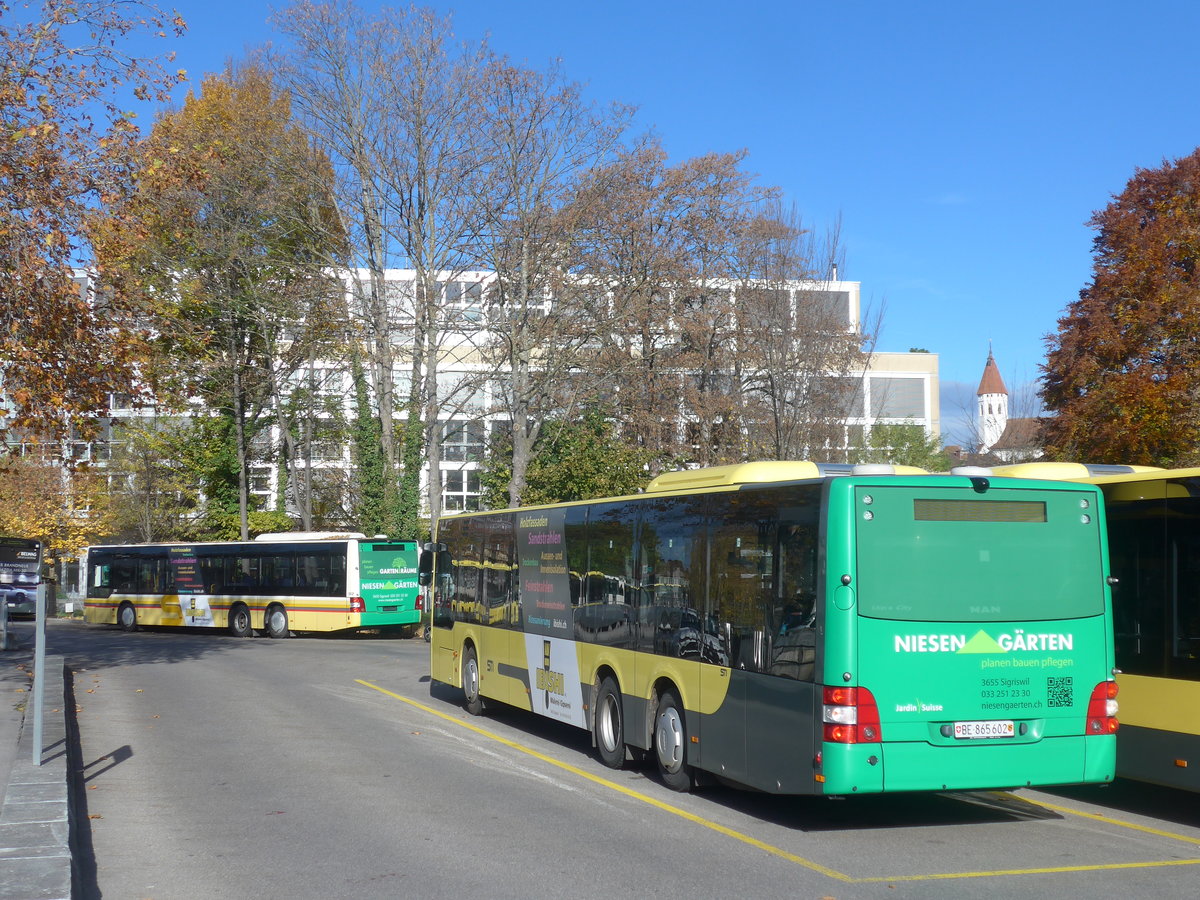 (222'848) - STI Thun - Nr. 602/BE 865'602 - MAN am 2. November 2020 bei der Schiffl�ndte Thun