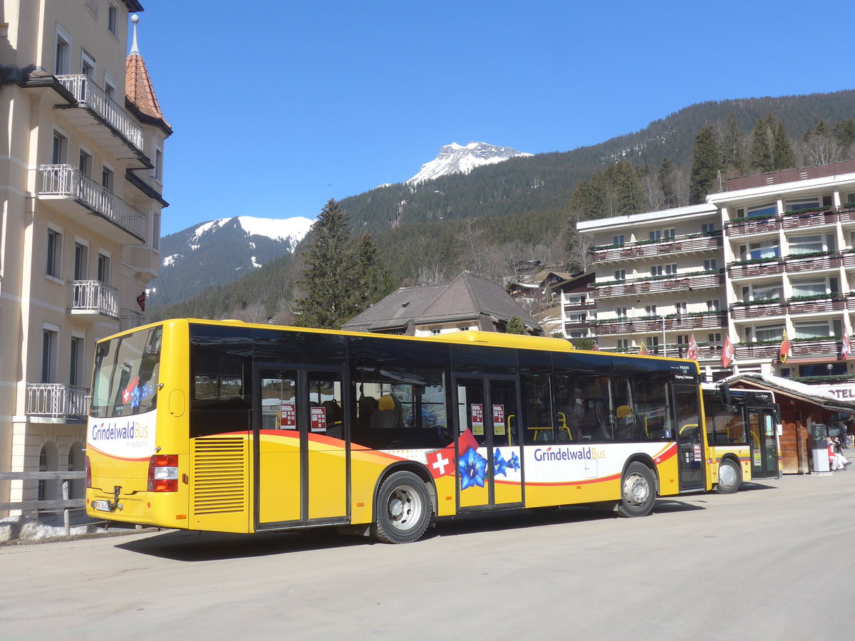 (223'854) - Grindelwaldbus, Grindelwald - Nr. 24/BE 364'408 - MAN/G�ppel am 28. Februar 2021 beim Bahnhof Grindelwald