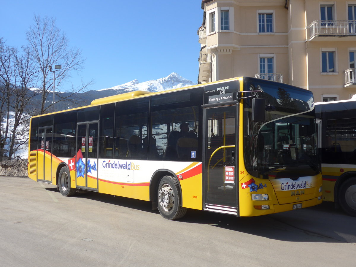 (223'856) - Grindelwaldbus, Grindelwald - Nr. 24/BE 364'408 - MAN/G�ppel am 28. Februar 2021 beim Bahnhof Grindelwald
