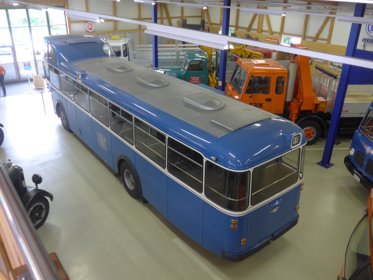 (225'795) - VBZ Z�rich (FBW-Club) - Nr. 239 - FBW/T�scher Hochlenker (ex Kamm, Schlieren; ex VBZ Z�rich Nr. 239; ex VBZ Z�rich Nr. 219) am 6. Juni 2021 in Wetzikon, FBW-Museum
