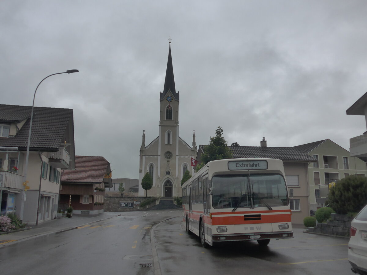 (225'796) - Wegm�ller, M�nsingen - BE 399'675 - FBW/R&J (ex Bamert, Wollerau) am 6. Juni 2021 in Doppleschwand, Landgasthof Linde