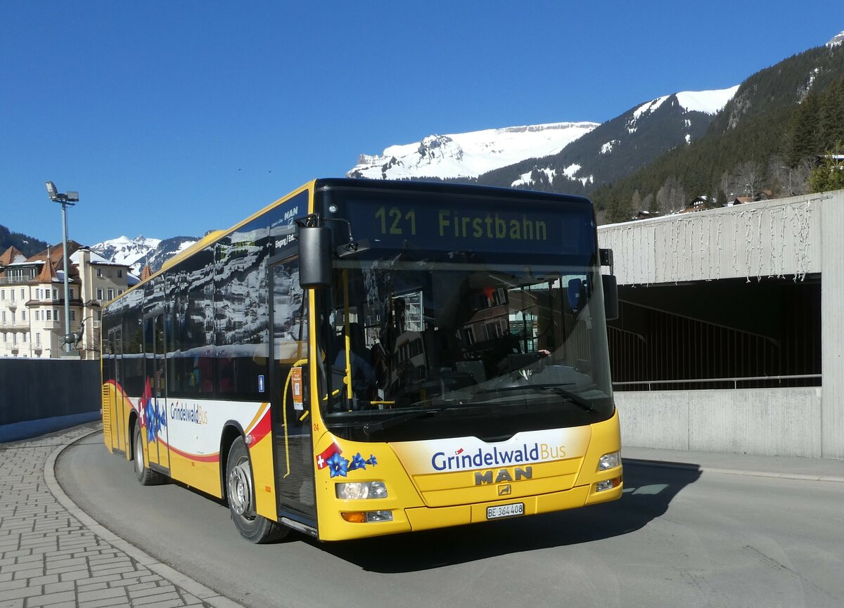(233'258) - Grindelwaldbus, Grindelwald - Nr. 24/BE 364'408 - MAN/G�ppel am 27. Februar 2022 in Grindelwald, Sportzentrum