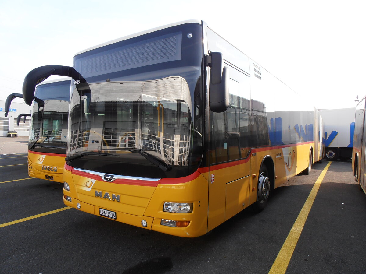 (233'854) - CarPostal Ouest - VD 623'514 - MAN (ex JU 36'038) am 12. M�rz 2022 in Kerzers, Interbus