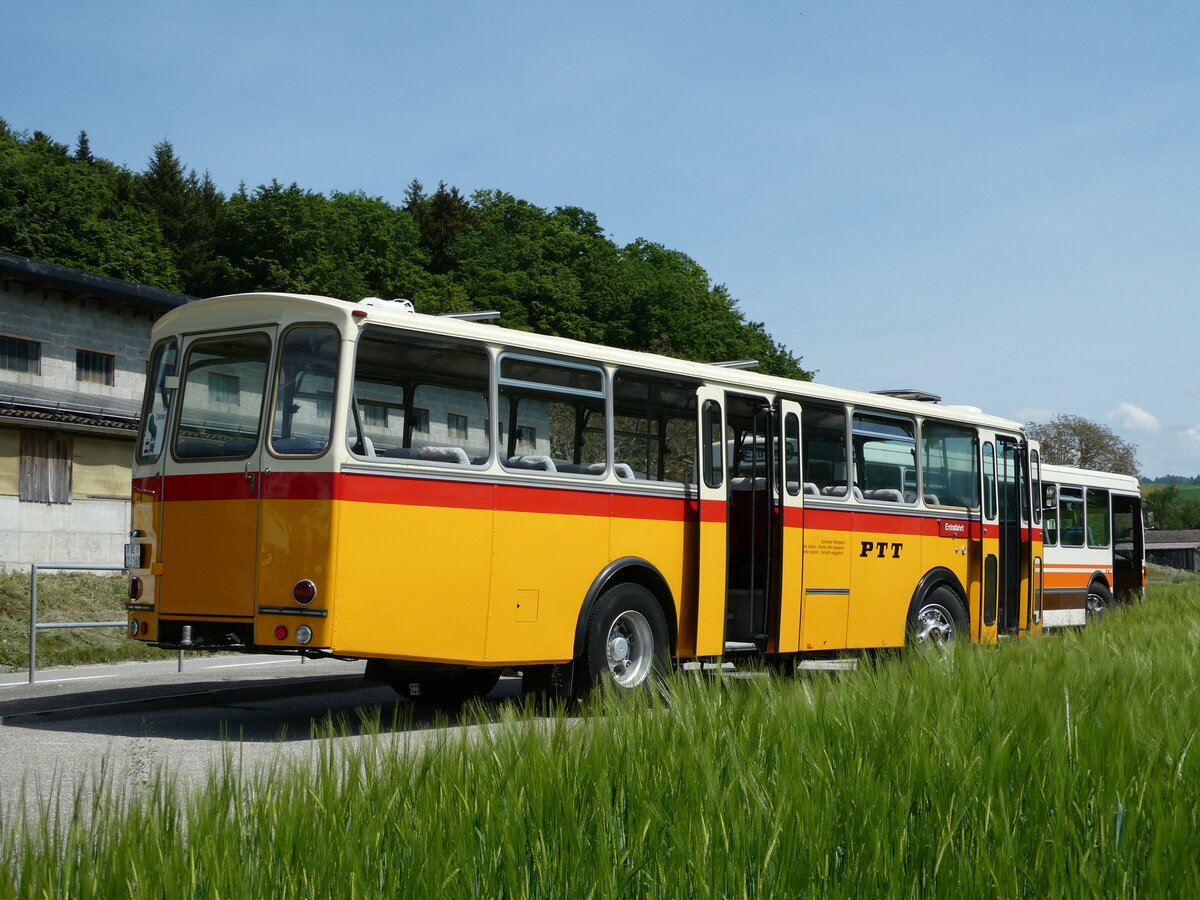 (235'676) - Gast, Reutigen - BE 113'160 - Saurer/T�scher (ex HPTrans, Thusis; ex Mauerhofer, Worb; ex Erni, Schupfart Nr. 3; ex P 24'636) am 15. Mai 2022 in Alchenstorf, Wil