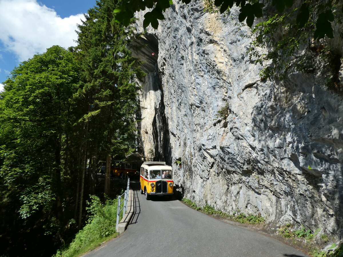 (237'669) - Schmid, Th�rishaus - Nr. 3/BE 26'760 - Saurer/Gangloff (ex Geiger, Adelboden Nr. 3) am 26. Juni 2022 in Kiental, Aussichtsplattform