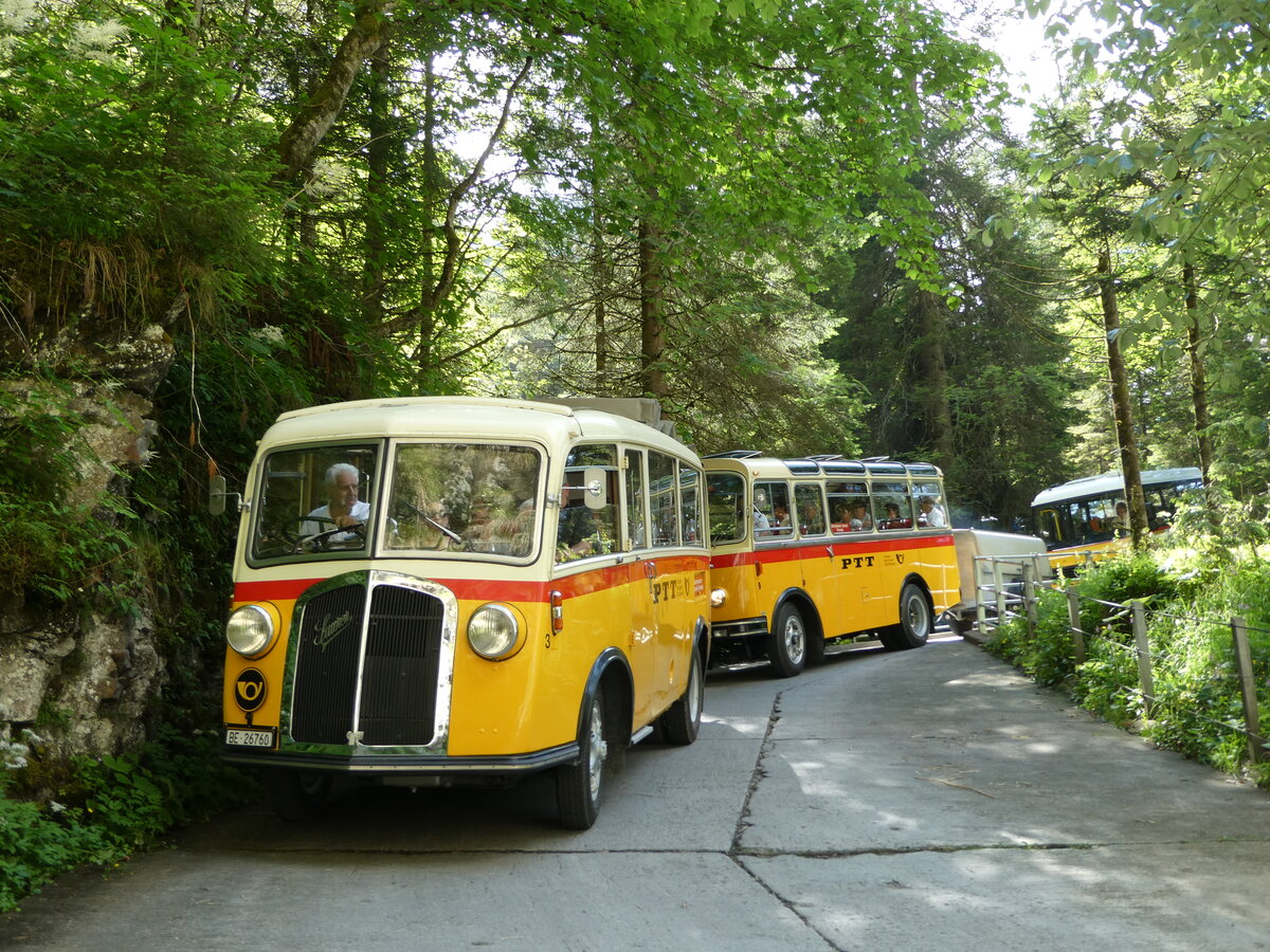 (237'693) - Schmid, Th�rishaus - Nr. 3/BE 26'760 - Saurer/Gangloff (ex Geiger, Adelboden Nr. 3) am 26. Juni 2022 in Kiental, Tschingel