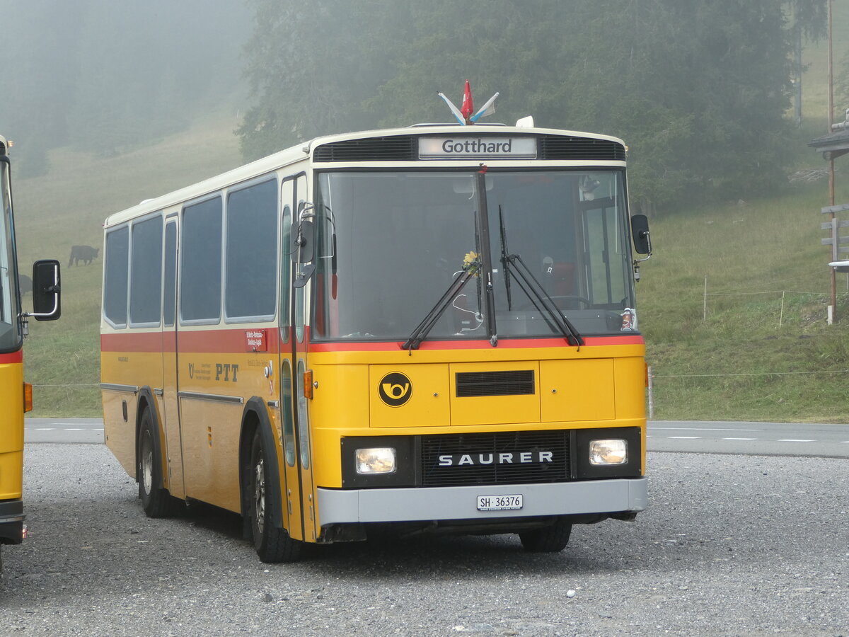 (239'776) - Roth, Z�rich - SH 36'376 - Saurer/T�scher (ex Looser, Elm; ex Mattli, Wassen) am 28. August 2022 in Stalden, Langis