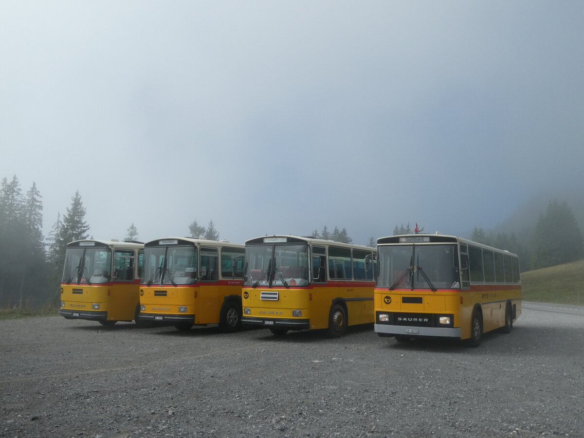 (239'779) - Roth, Z�rich - SH 36'376 - Saurer/T�scher (ex Looser, Elm; ex Mattli, Wassen) am 28. August 2022 in Stalden, Langis