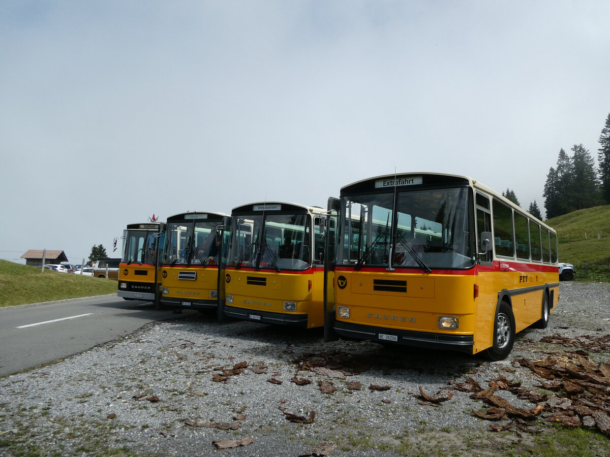 (239'825) - Schmid, Th�rishaus - BE 26'206 - Saurer/T�scher (ex P 24'244) am 28. August 2022 in Giswil, Glaubenbielen