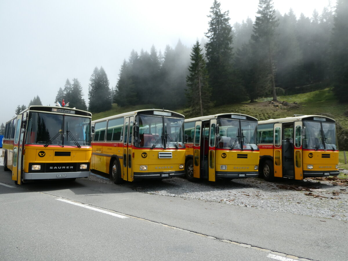 (239'829) - Roth, Z�rich - SH 36'376 - Saurer/T�scher (ex Looser, Elm; ex Mattli, Wassen) am 28. August 2022 in Giswil, Glaubenbielen