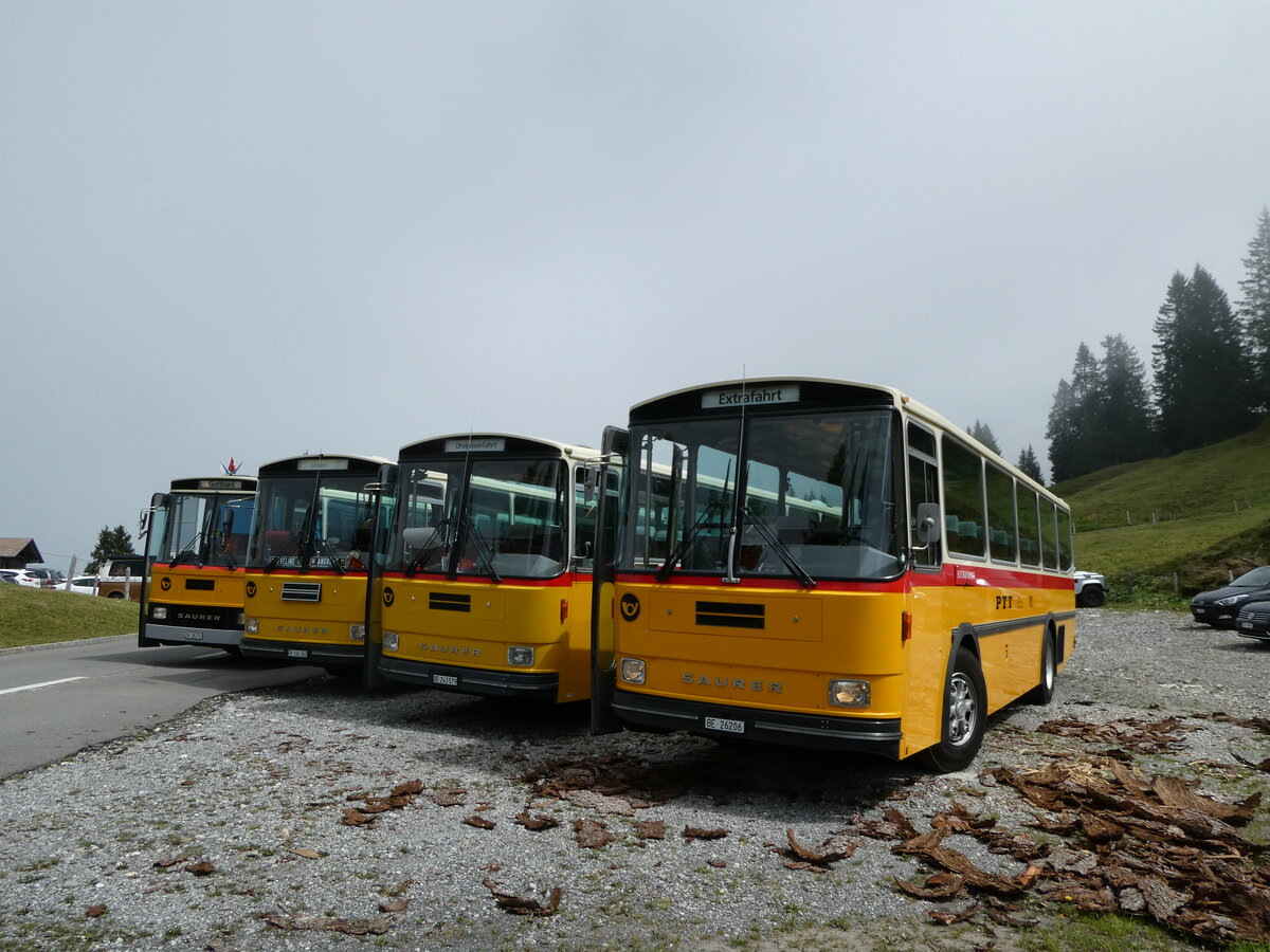(239'832) - Schmid, Th�rishaus - BE 26'206 - Saurer/T�scher (ex P 24'244) am 28. August 2022 in Giswil, Glaubenbielen