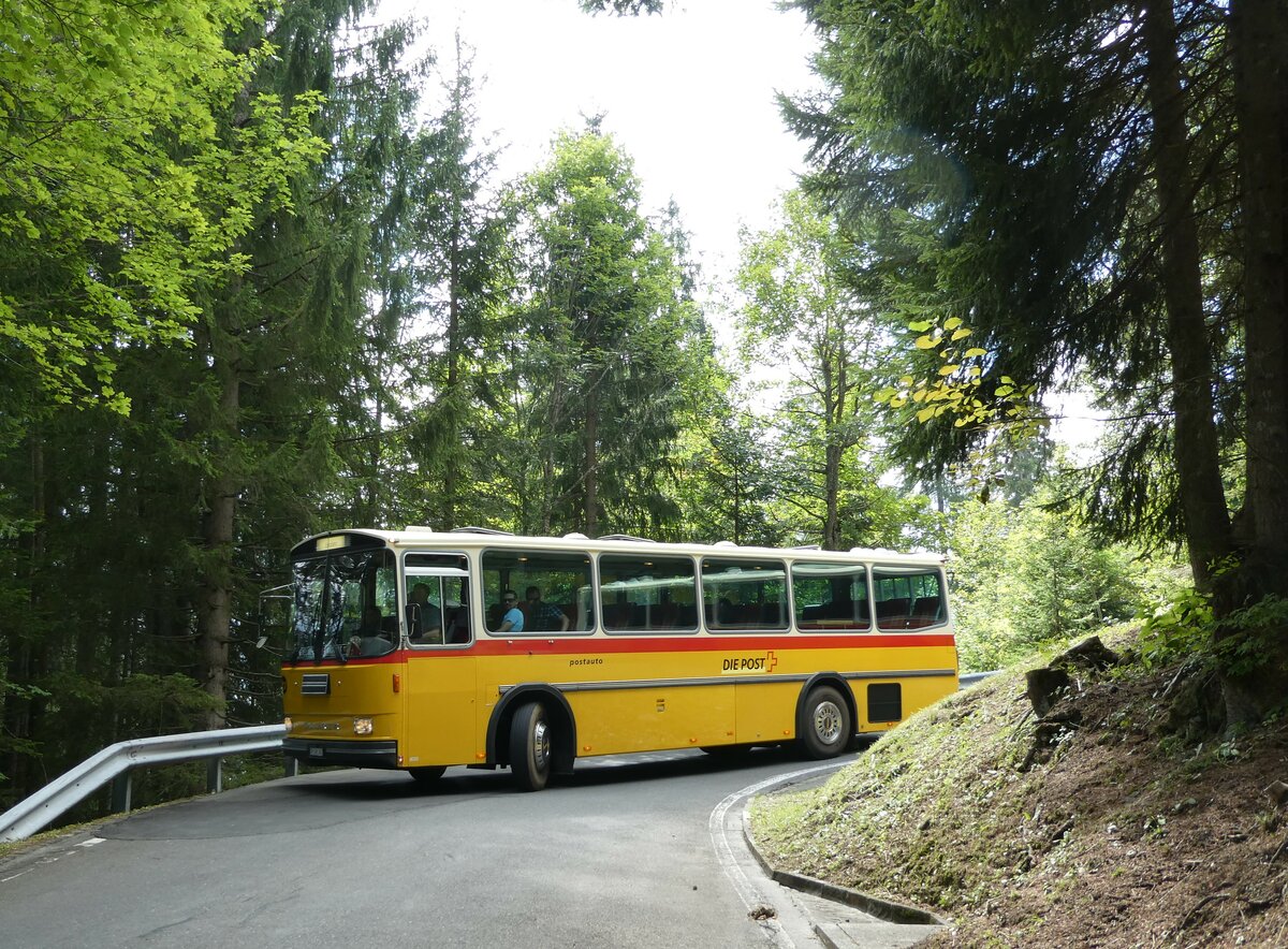 (239'843) - Ackermann, Landquart - GR 106'362 - Saurer/R&J (ex F�ssler, Unteriberg; ex Sch�rch, Gutenburg Nr. 6; ex P 24'358) am 28. August 2022 in Giswil, Emmenwald
