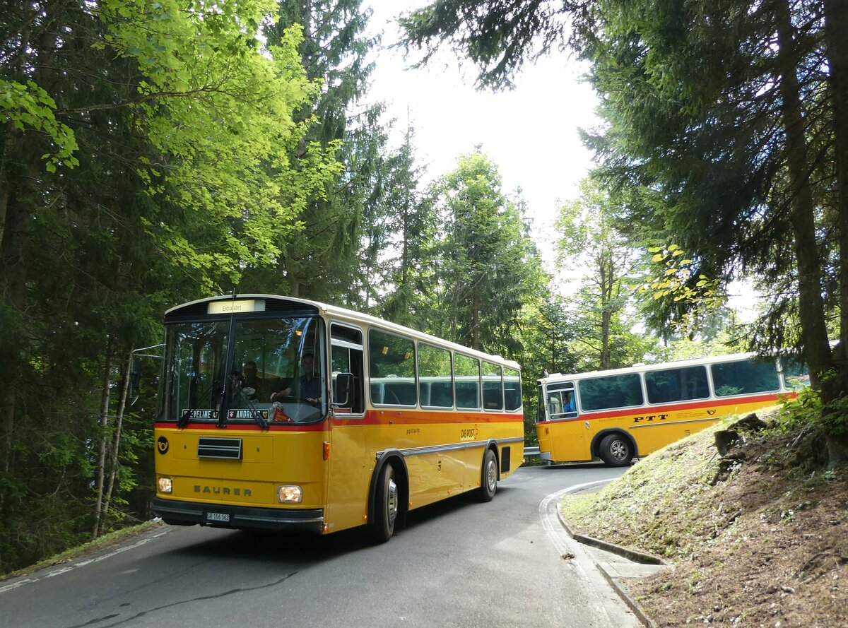 (239'845) - Ackermann, Landquart - GR 106'362 - Saurer/R&J (ex F�ssler, Unteriberg; ex Sch�rch, Gutenburg Nr. 6; ex P 24'358) am 28. August 2022 in Giswil, Emmenwald