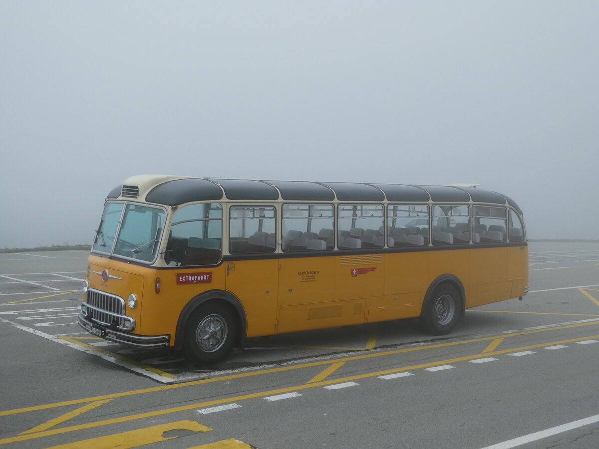 (240'277) - Gerber, Matzendorf - SO 50'805 - FBW/R&J (ex Kontiki, Wettingen; ex P 24'001; ex P 21'501) am 25. September 2022 in Grimsel, Passh�he