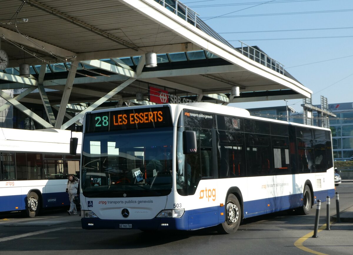 (245'978) - Globe-Limo, Gen�ve - Nr. 503/GE 960'760 - Mercedes am 9. Februar 2023 in Gen�ve, A�roport