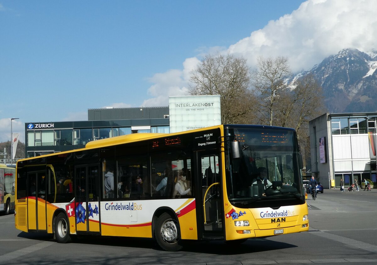 (248'917) - Grindelwaldbus, Grindelwald - Nr. 14/BE 202'568 - MAN/G�ppel am 19. April 2023 beim Bahnhof Interlaken Ost