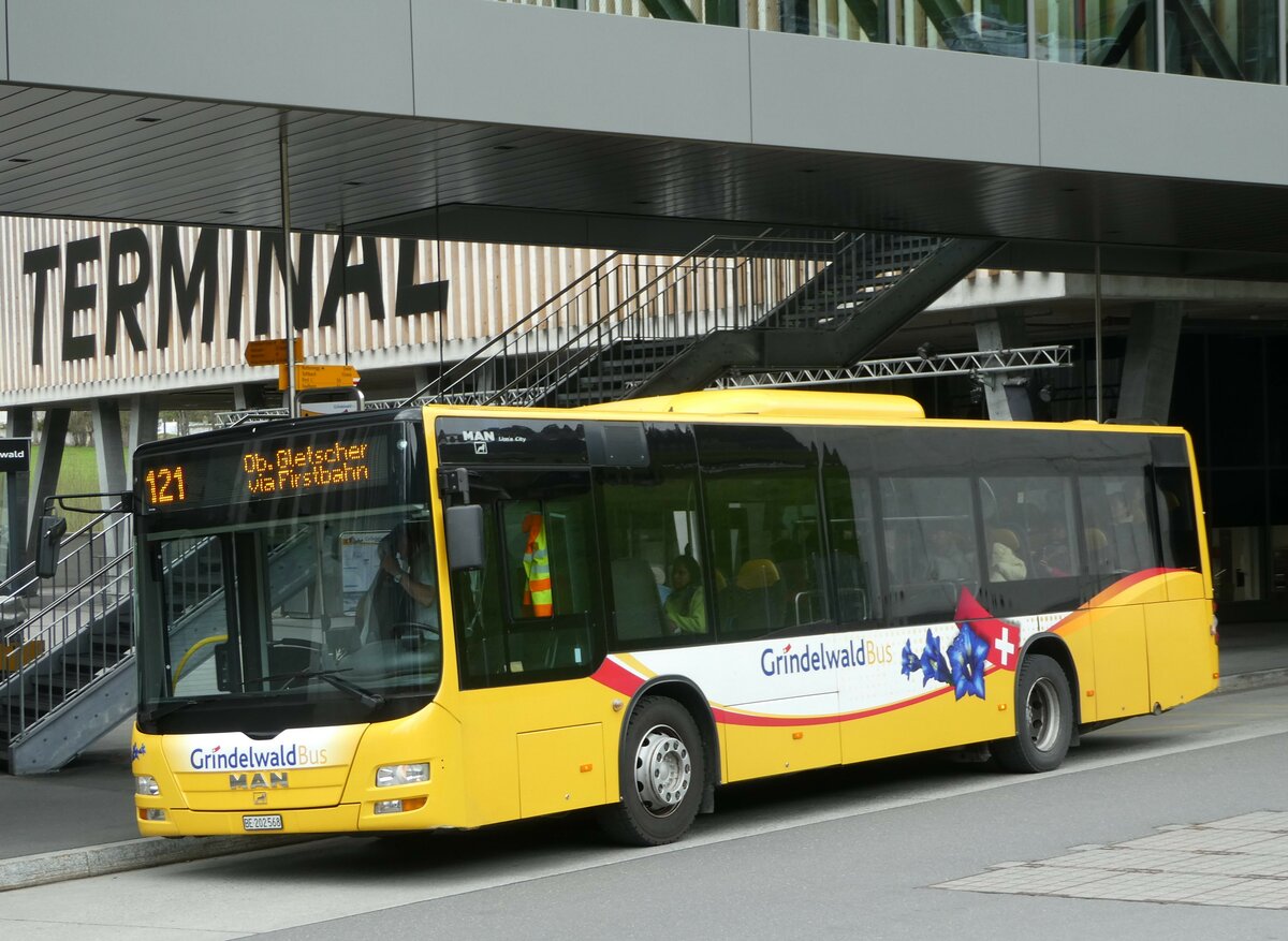 (249'202) - Grindelwaldbus, Grindelwald - Nr. 14/BE 202'568 - MAN/G�ppel am 28. April 2023 in Grindelwald, Terminal