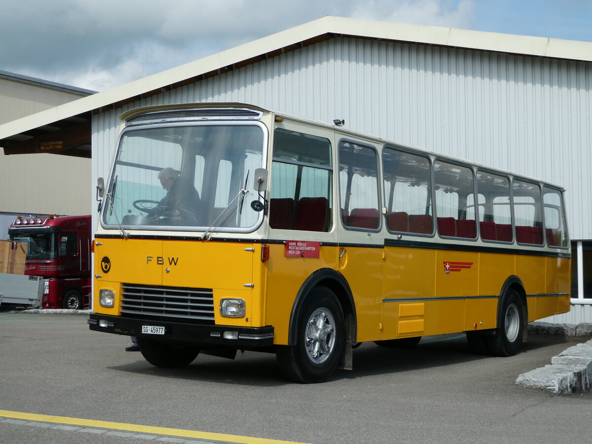 (249'739) - R�egg, R�ti - SG 45'977 - FBW/Gangloff (ex P 24'169) am 6. Mai 2023 in Attikon, Wegm�ller