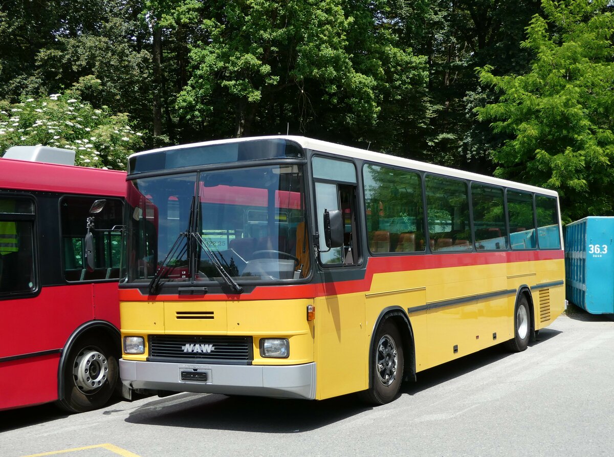 (251'684) - Widmer. Bern - NAW/Hess (ex Lombardi, Winterthur; ex Wohlgemuth, Hochwald PID 2208) am 18. Juni 2023 in Burgdorf, �kihof Ziegelgut