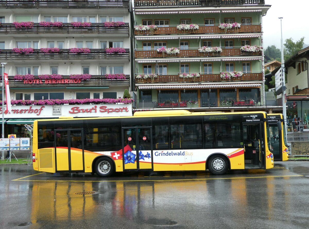 (253'393) - Grindelwaldbus, Grindelwald - Nr. 18/BE 382'871 - MAN/G�ppel am 5. August 2023 beim Bahnhof Grindelwald