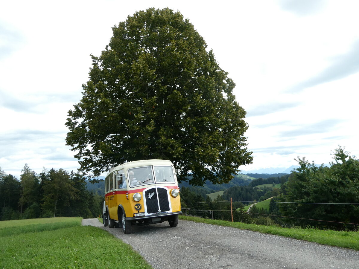 (253'576) - Schmid, Th�rishaus - Nr. 3/BE 26'760 - Saurer/Gangloff (ex Geiger, Adelboden Nr. 3) am 9. August 2023 in Bigenthal, Hellweid