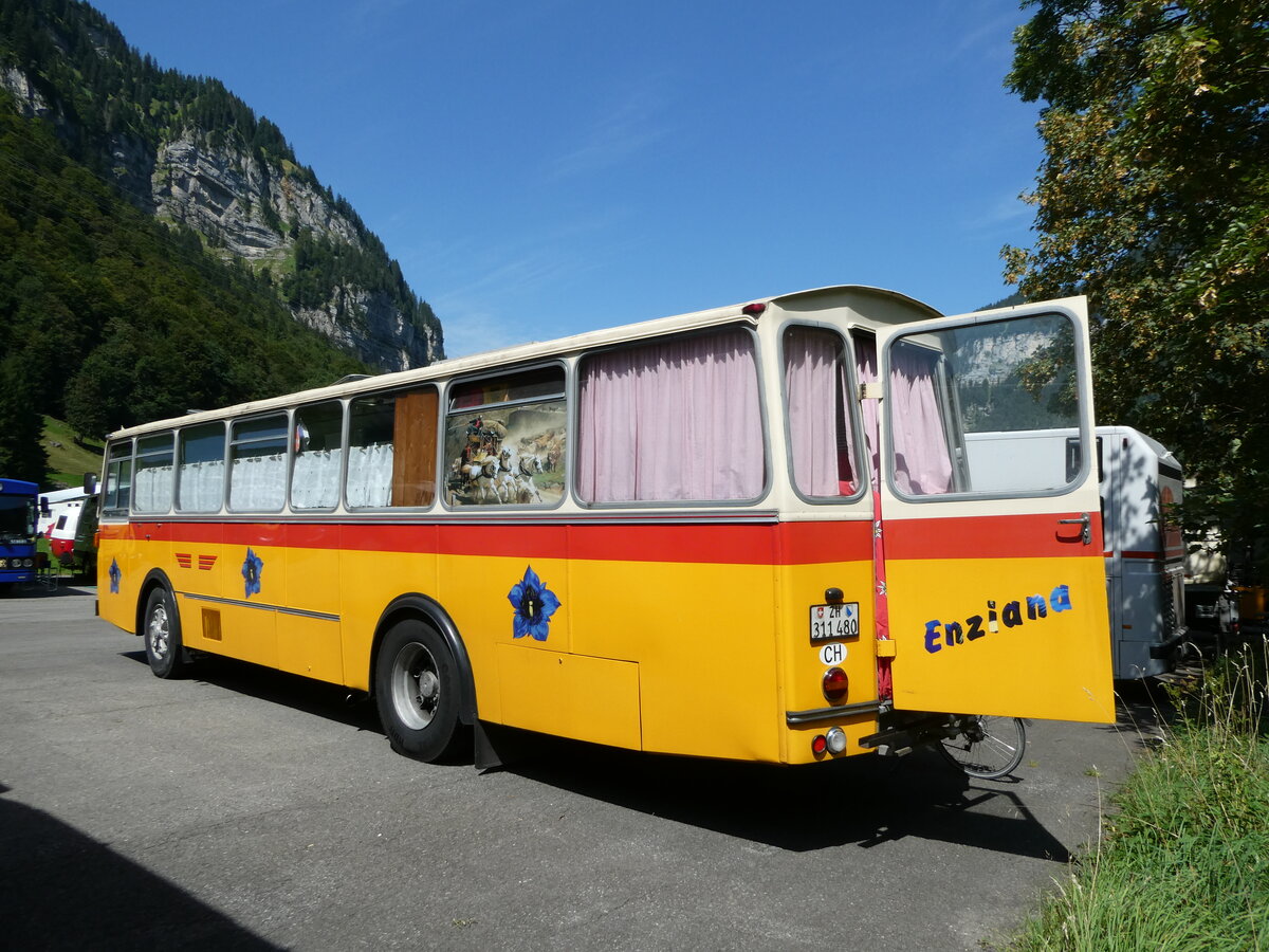 (254'019) - G�hwiler, Birmensdorf - ZH 311'480 - Saurer/T�scher (ex AVG Grindelwald Nr. 12; ex Steiger, Schlatt) am 19. August 2023 in Hoch-Ybrig, Talstation Weglosen