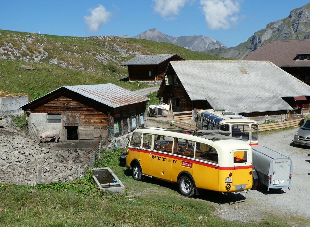 (255'068) - Schmid, Th�rishaus - Nr. 3/BE 26'760 - Saurer/Gangloff (ex Geiger, Adelboden Nr. 3) am 10. September 2023 auf der Bundalp