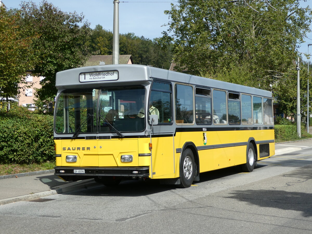 (255'289) - Wanner, Schleitheim - SH 48'096 - Saurer/Hess (ex Ruklic, Schaffhausen; ex VBSH Schaffhausen Nr. 40; ex VBSH Schaffhausen Nr. 19) am 17. September 2023 in Neuhausen, Herbst�cker