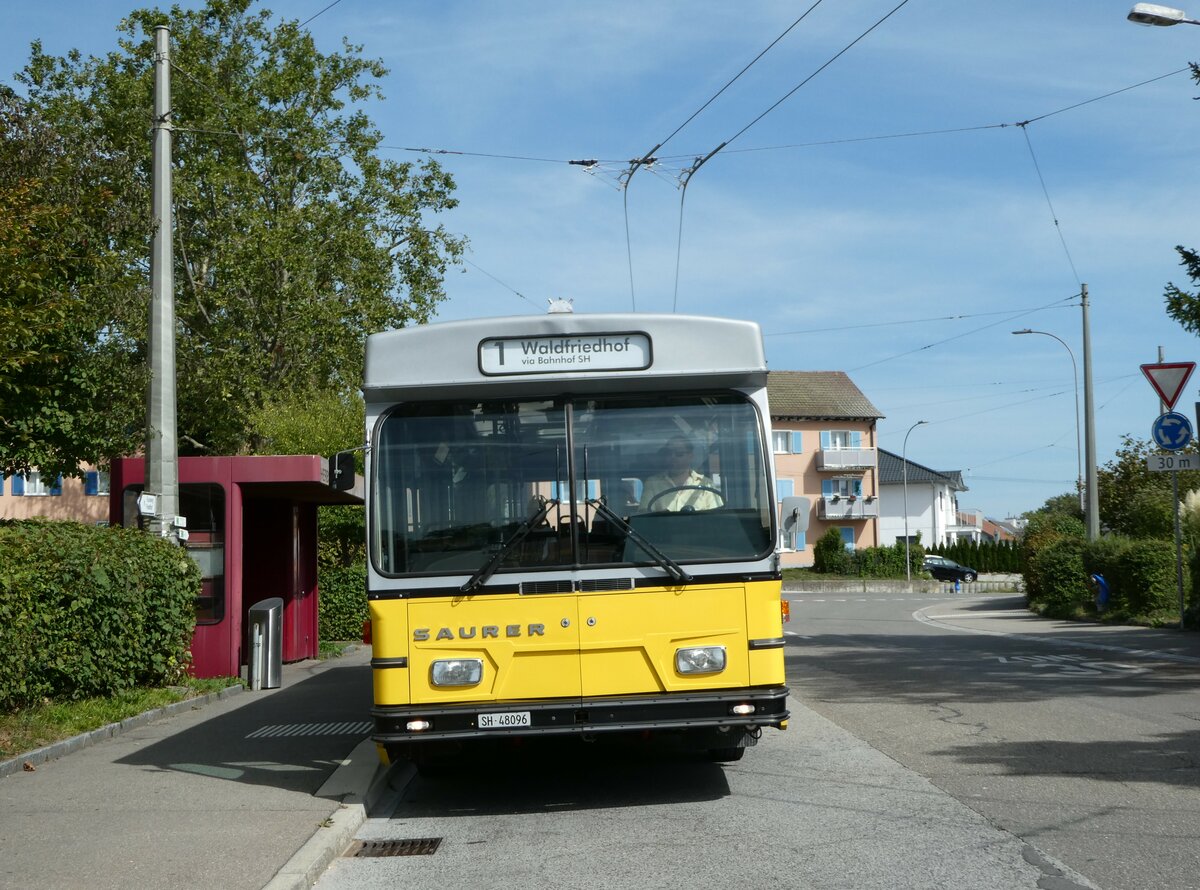 (255'291) - Wanner, Schleitheim - SH 48'096 - Saurer/Hess (ex Ruklic, Schaffhausen; ex VBSH Schaffhausen Nr. 40; ex VBSH Schaffhausen Nr. 19) am 17. September 2023 in Neuhausen, Herbst�cker