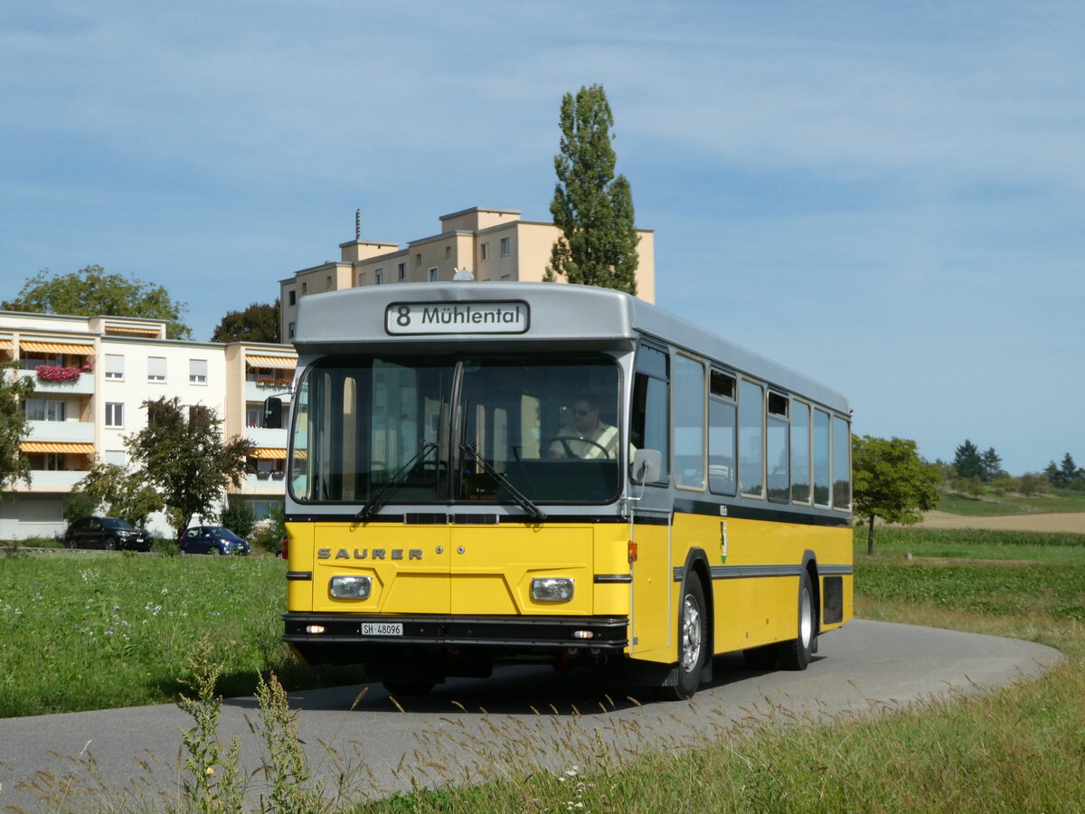 (255'324) - Wanner, Schleitheim - SH 48'096 - Saurer/Hess (ex Ruklin, Schaffhausen; ex VBSH Schaffhausen Nr. 40; ex VBSH Schaffhausen Nr. 19) am 17. September 2023 in Schaffhausen, V�geling�sschen