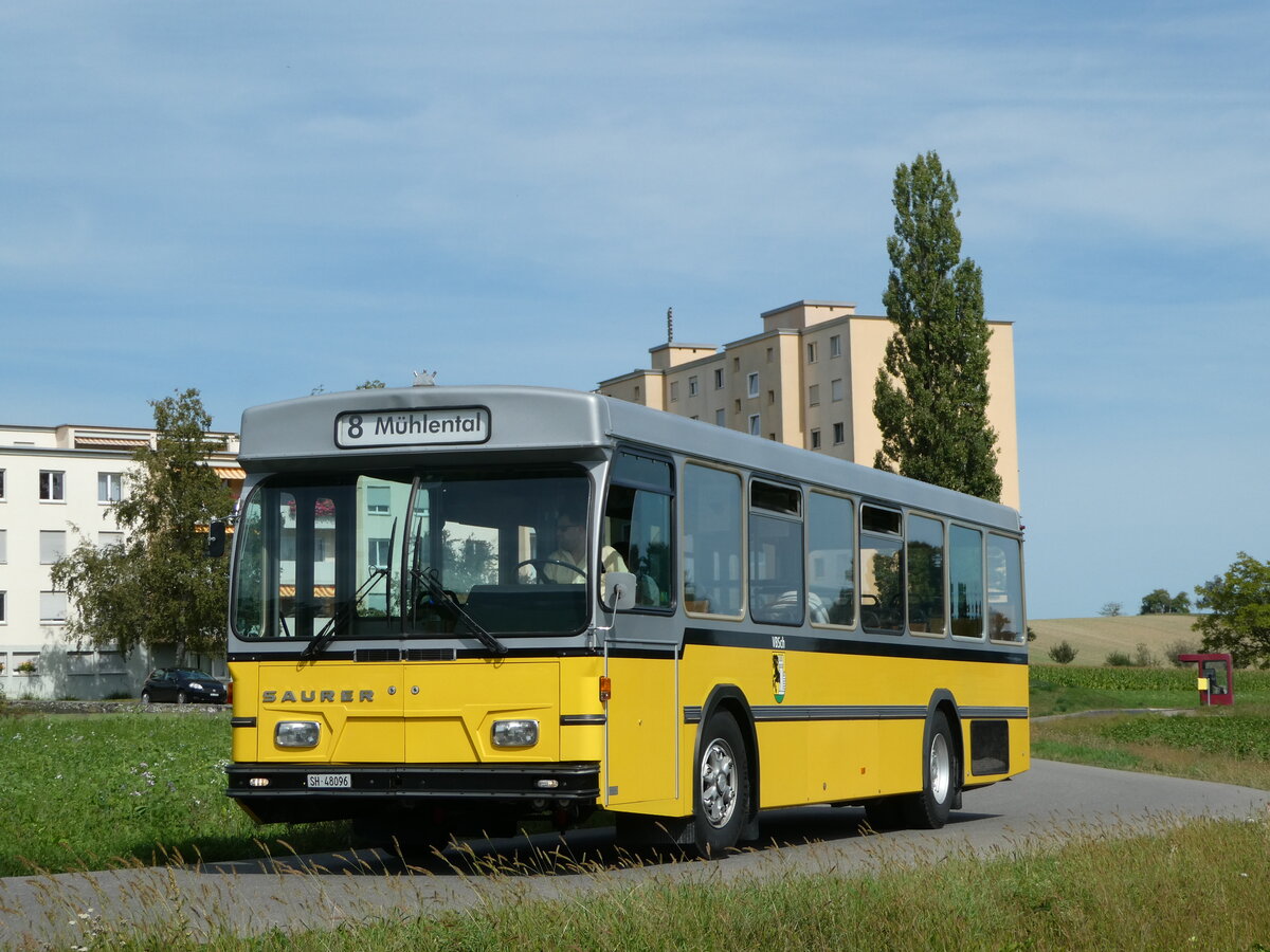 (255'325) - Wanner, Schleitheim - SH 48'096 - Saurer/Hess (ex Ruklic, Schaffhausen; ex VBSH Schaffhausen Nr. 40; ex VBSH Schaffhausen Nr. 19) am 17. September 2023 in Schaffhausen, V�geling�sschen