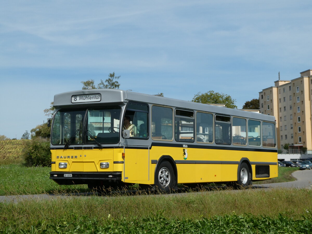 (255'326) - Wanner, Schleitheim - SH 48'096 - Saurer/Hess (ex Ruklic, Schaffhausen ; ex VBSH Schaffhausen Nr. 40; ex VBSH Schaffhausen Nr. 19) am 17. September 2023 in Schaffhausen, V�geling�sschen 