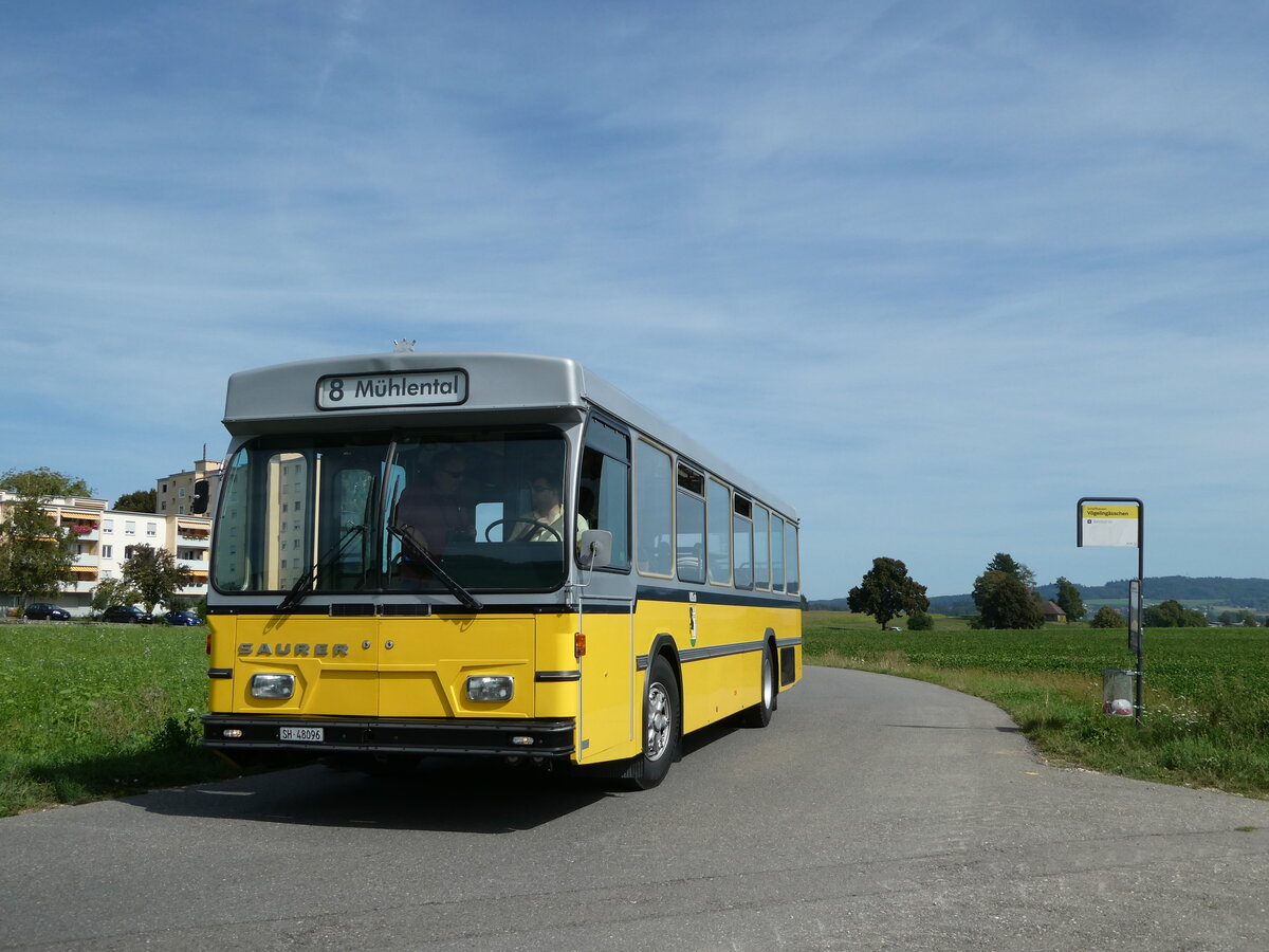 (255'329) - Wanner, Schleitheim - SH 48'096 - Saurer/Hess (ex Ruklic, Schaffhausen; ex VBSH Schaffhausen Nr. 40; ex VBSH Schaffhausen Nr. 19) am 17. September 2023 in Schaffhausen, V�geling�sschen