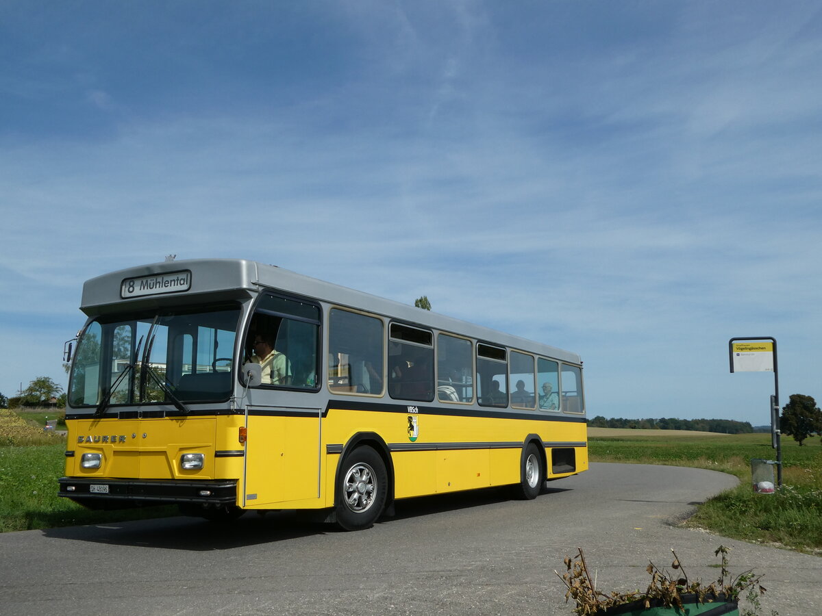(255'331) - Wanner, Schleitheim - SH 48'096 - Saurer/Hess (ex Ruklic, Schaffhausen; ex VBSH Schaffhausen Nr. 40; ex VBSH Schaffhausen Nr. 19) am 17. September 2023 in Schaffhausen, V�geling�sschen