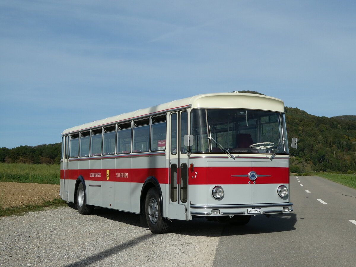 (255'390) - Borer, Neuhausen - Nr. 7/SH 19'684 - Saurer/T�scher (ex Heiniger, B�tzberg; ex ASS Schleitheim Nr. 22; ex ASS Schleitheim Nr. 7) am 17. September 2023 in Siblingen, Siblinger H�he