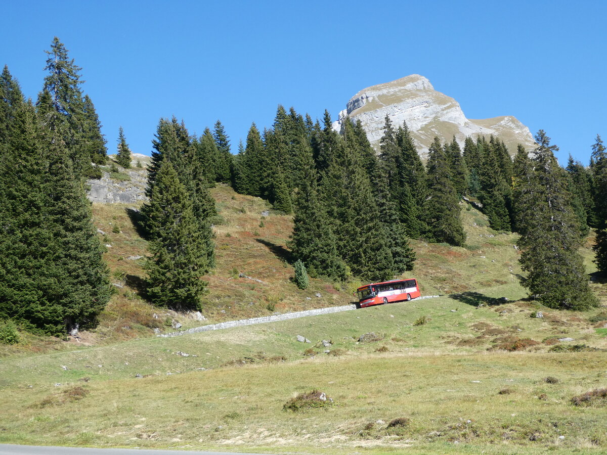 (255'781) - AFA Adelboden - Nr. 24/BE 26'701/PID 10'040 - Setra am 1. Oktober 2023 bei der Engstlenalp (Einsatz: PostAuto f�r Engstlenalp-Bus)