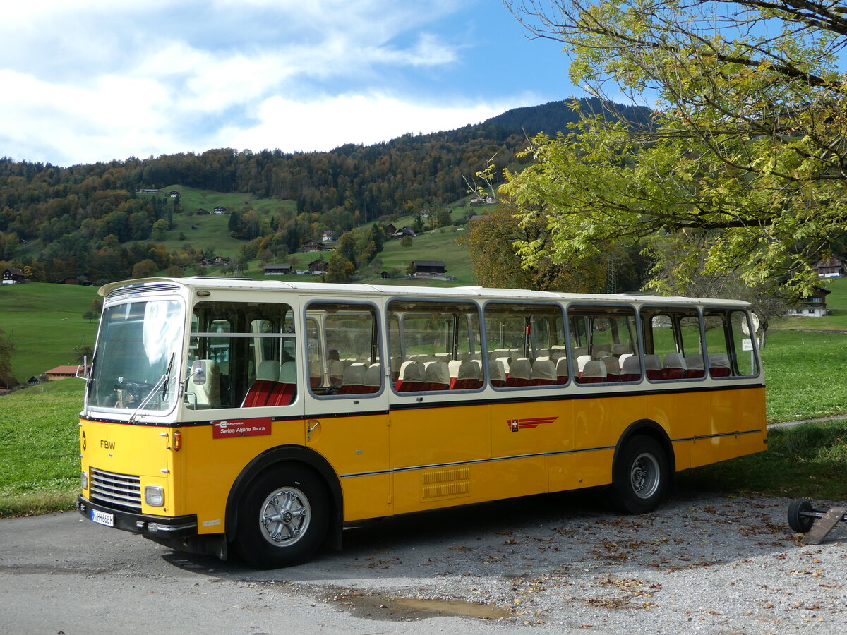 (256'496) - Aus Deutschland: Hahn, M�nchen - M-HH 668H - FBW/FHS (ex Michels, Schmallenberg; ex FRAM Drachten/NL Nr. 5; ex P 24'184) am 28. Oktober 2023 in Giswil, Grossteilstrasse