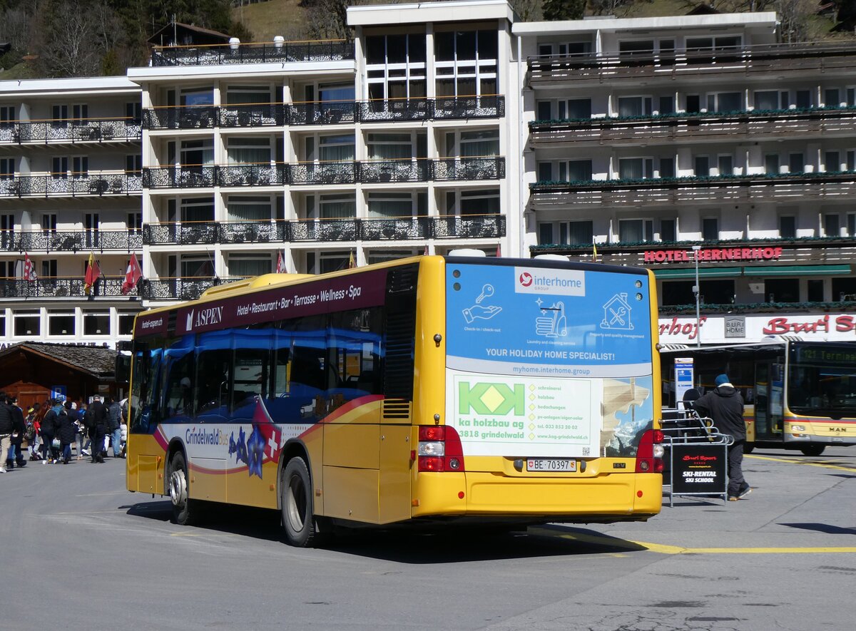 (260'534) - GrindelwaldBus, Grindelwald - Nr. 23/BE 70'397 - MAN am 19. M�rz 2024 beim Bahnhof Grindelwald