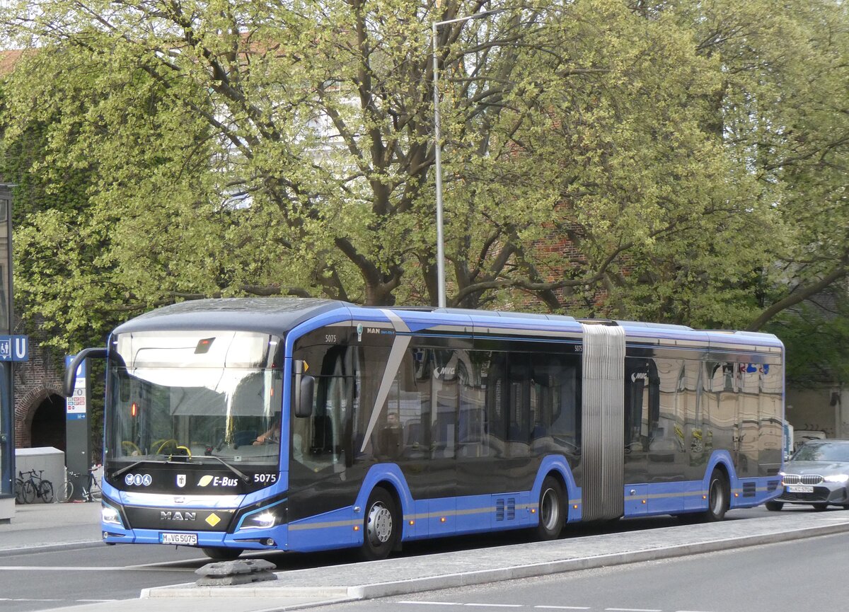 (261'435) - MVG M�nchen - Nr. 5075/M-VG 5075 - MAN am 14. April 2024 in M�nchen, Sendlinger Tor