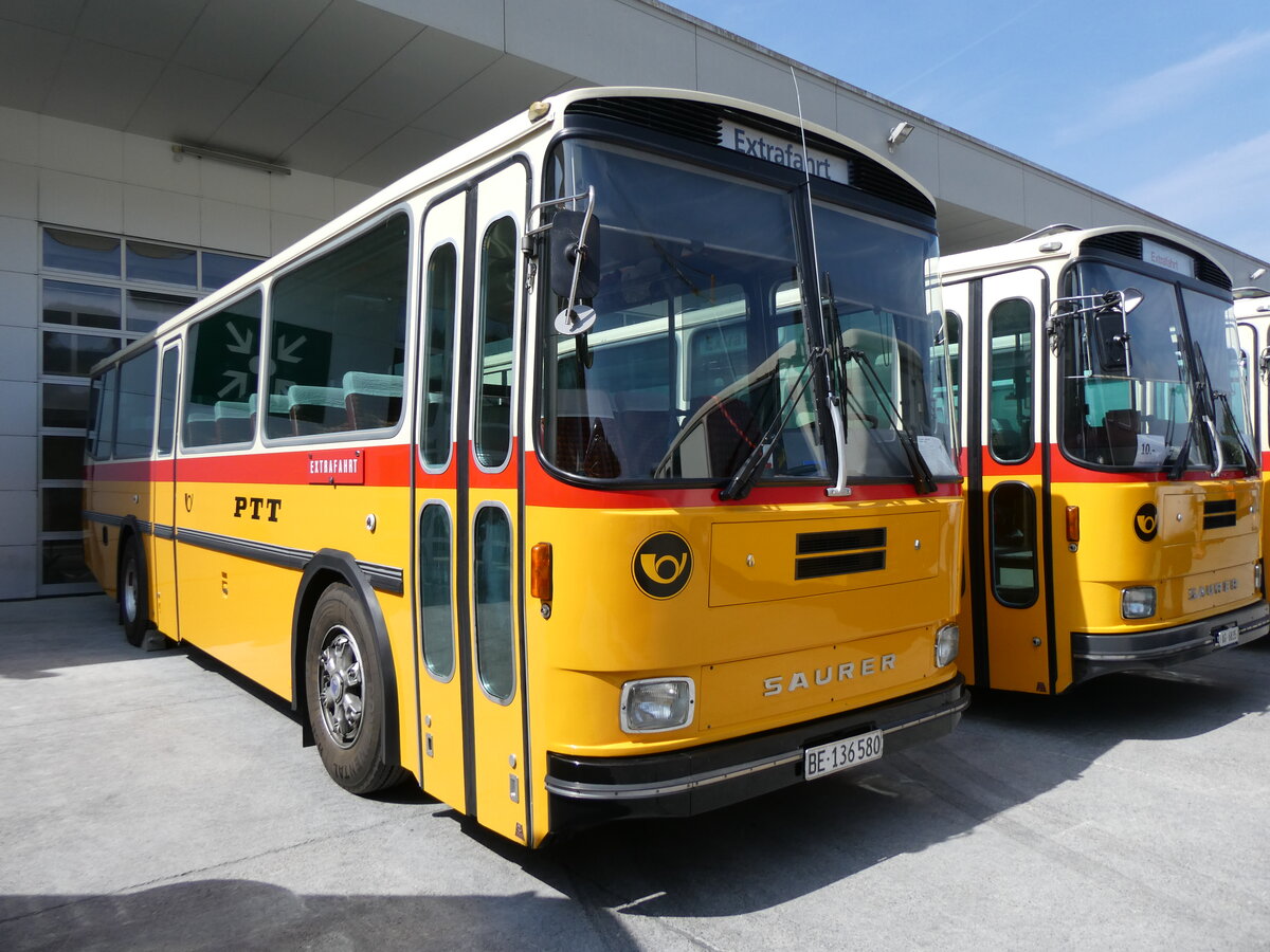 (266'424) - Schumacher, Liebefeld - BE 136'580 - Saurer/T�scher (ex Zimmermann, Niederwangen; ex P 24'289) am 31. August 2024 in Oberkirch, CAMPUS Sursee