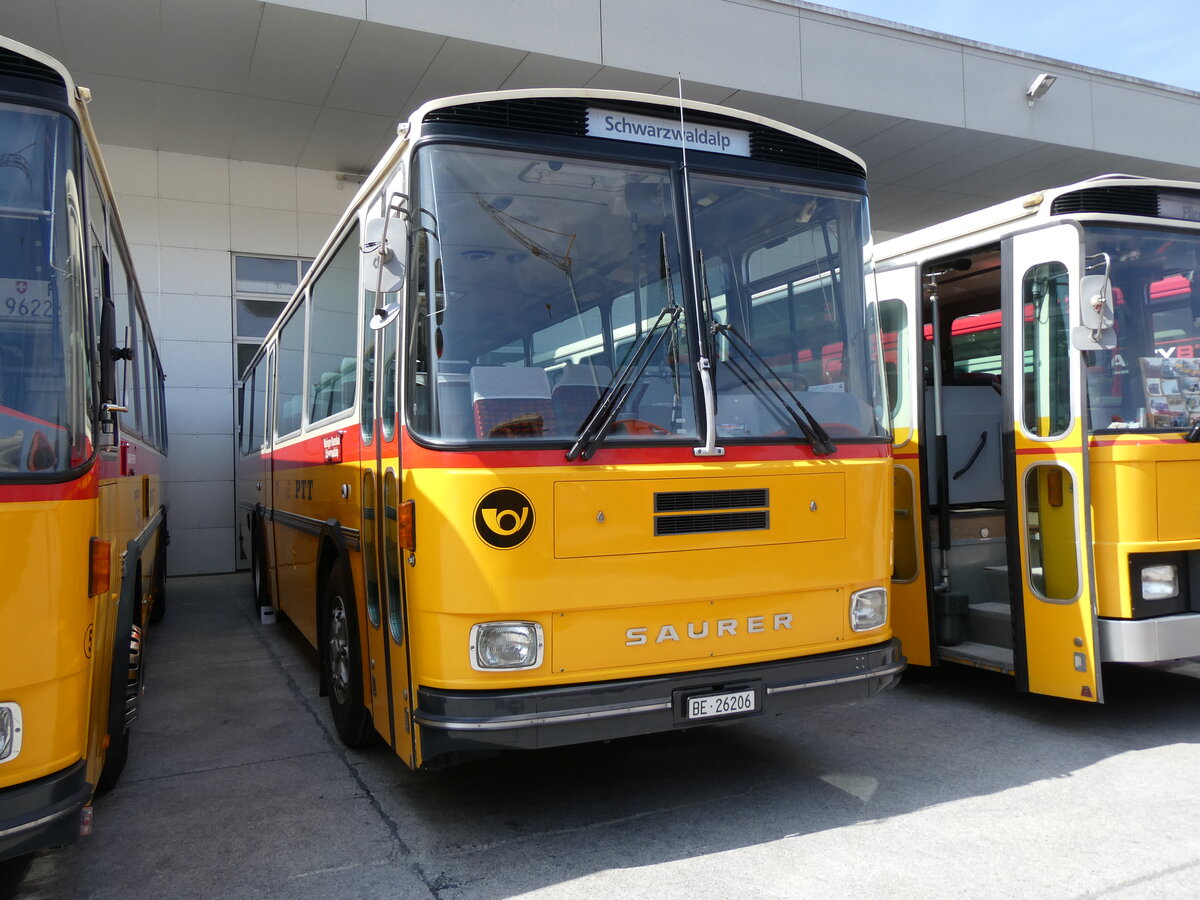 (266'437) - Schmid, Th�rishaus - BE 26'206 - Saurer/T�scher (ex P 24'244) am 31. August 2024 in Oberkirch, CAMPUS Sursee