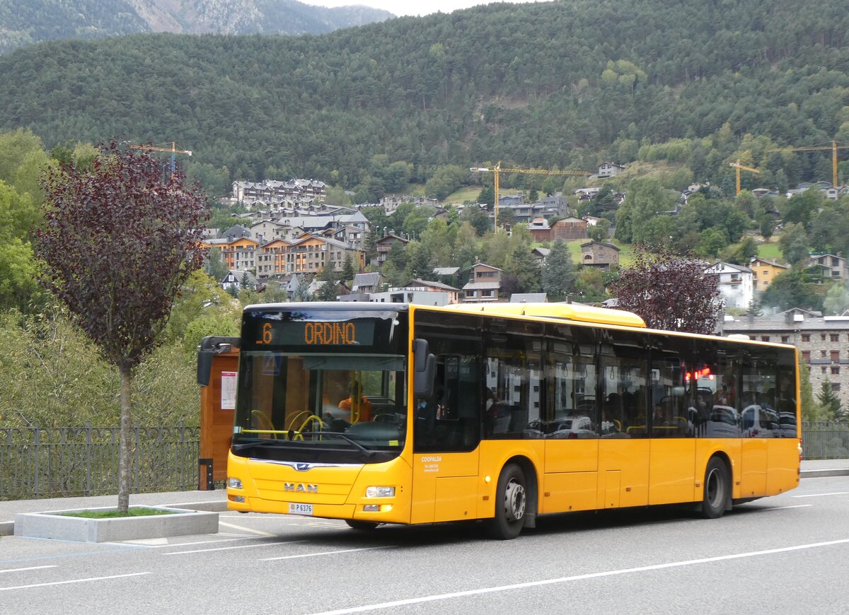 (267'243) - Coopalsa, Andorra la Vella - P6376 - MAN am 18. September 2024 in La Massana, El Trav�s