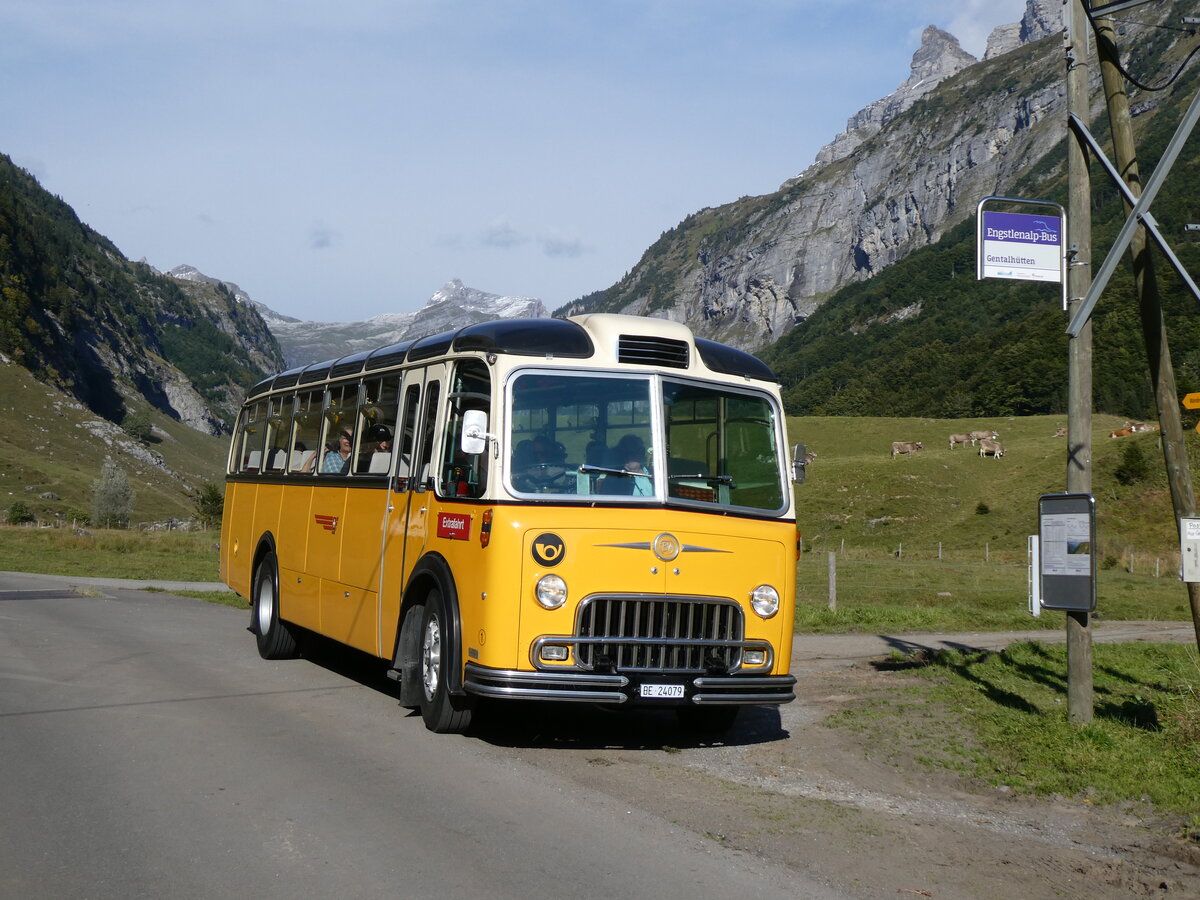 (267'502) - Gast, Reutigen - Nr. 1/BE 24'079 - FBW/FHS (ex Lambach, Gommiswald; ex Hotz, Rickenbach bei Wil/TG; ex P 24'079; ex P 21'579) am 22. September 2024 in Innertkirchen, Gentalh�tten