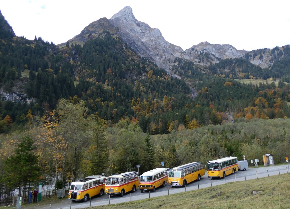 (268'047) - Schmid, Th�rishaus - BE 26'206 - Saurer/T�scher (ex P 24'244) am 12. Oktober 2024 in Kiental, Tschingelsee