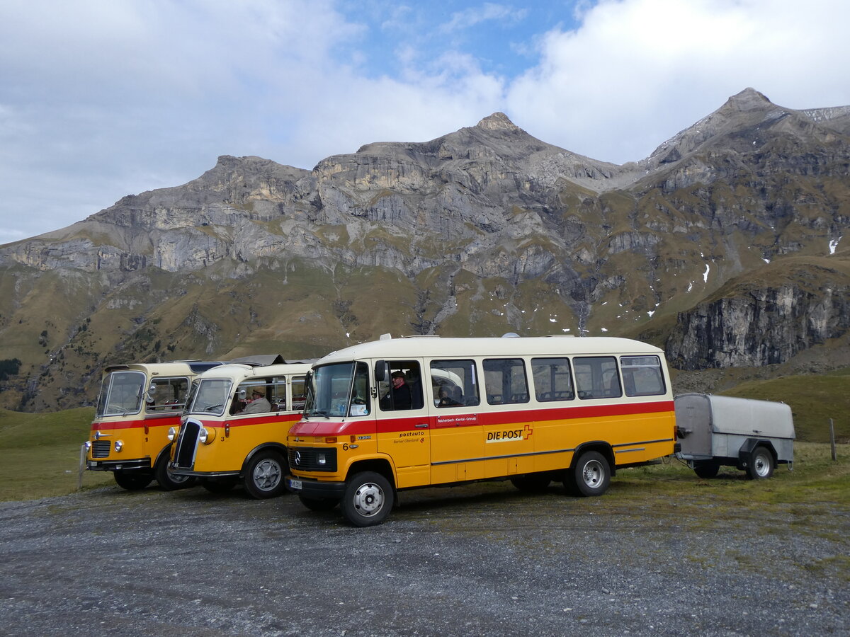 (268'112) - Aus Deutschland: Hahn, M�nchen - Nr. 6/M-MB 309H - Mercedes (ex M�ller, CH-Ennetmoos Nr. 6; ex Portenier, CH-Adelboden Nr. 6/PID 492; ex Geiger, CH-Adelboden Nr. 6) am 12. Oktober 2024 auf dem Bundl�ger